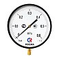 Манометр Росма ТМ-810Р.00 котловый, 250мм, 0-40кгс/см2, резьба M20x1,5, радиальный, класс точности 1,5 купить в Краснодаре | "Проконсим"