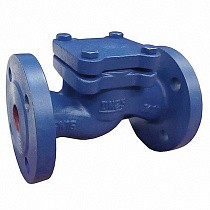 Клапаны обратные подъемные DN 15-200 PN 16 чугунные фланцевые до 250гр. АСТА ОК113 купить в Краснодаре | "Проконсим"