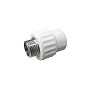 Муфта комбинированная ПП 32-3/4'' PN 25 с наружной резьбой белая VALFEX Pro купить в Краснодаре | "Проконсим"
