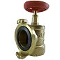 Клапан пожарный латунный КПАЛ DN 50 PN 16 угловой 90гр. муфта-соединительная головка Апогей купить в Краснодаре | "Проконсим"