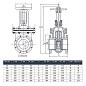 Задвижка чугунная 30ч6бр DN 250 PN 10 фланцевая параллельная ЛМЗ Семенов купить в Краснодаре | "Проконсим"
