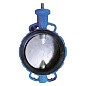 Затвор дисковый поворотный DN 250 PN 16 межфланцевый с диском из чугуна со штоком Seagull купить в Краснодаре | "Проконсим"