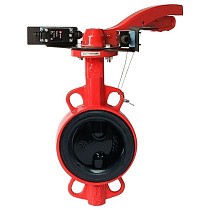Затворы чугунные дисковые DN 50-250 PN 16 межфланцевые с концевиками и чугунным диском рычаг РАШВОРК купить в Краснодаре | "Проконсим"