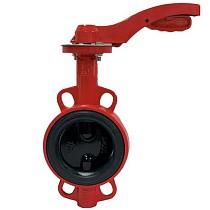 Затворы чугунные дисковые DN 50-100 PN 16 с электроприводом 24В и чугунным диском РАШВОРК купить в Краснодаре | "Проконсим"
