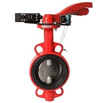Затворы чугунные дисковые DN 50-250 PN 16 межфланцевые с концевиками диск из нержавеющей стали рычаг РАШВОРК купить в Краснодаре | "Проконсим"