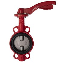 Затворы поворотные дисковые DN 40-250 PN 16 межфланцевые с чугунным диском рычаг Рашворк 200 купить в Краснодаре | "Проконсим"