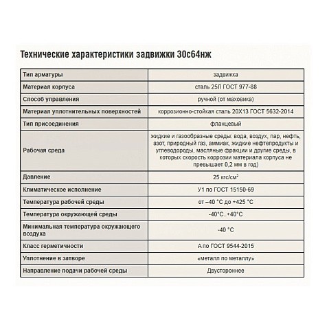 Задвижки стальные 30с64нж DN 50-300 PN 25 фланцевые САЗ АВАНГАРД купить в Краснодаре | "Проконсим"