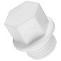 Заглушка резьбовая ПП 20-3/4'' PN 25 с наружной резьбой белая РТП 10556 купить в Краснодаре | "Проконсим"