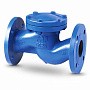 Клапан обратный подъемный фланцевый FAF 2250, DN 32, PN 16 корпус-чугун, диск-нержавеющаясталь, уплотнение-нержавеющая сталь купить в Краснодаре | "Проконсим"